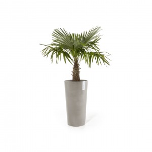 Amsterdam Mid High pot 66 Taupe