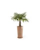 Amsterdam Mid High pot 66 Terracotta Amsterdam high pot Amsterdam Mid High pot 66 Terracotta Amsterdam high pot