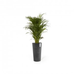 Amsterdam High pot 76 Dark Grey