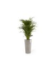 Amsterdam High pot 76 Taupe Amsterdam high pot Amsterdam High pot 76 Taupe Amsterdam high pot
