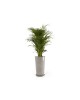 Amsterdam High pot 76 Taupe Amsterdam high pot Amsterdam High pot 76 Taupe Amsterdam high pot