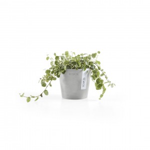 Amsterdam Mini small pot 10 White Grey