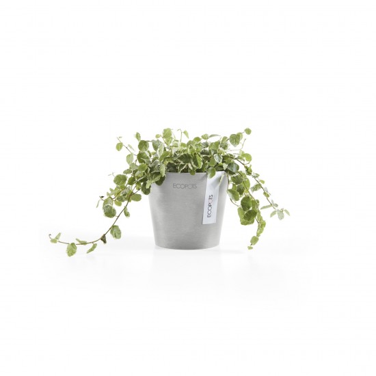 Amsterdam Mini small pot 10 White Grey Small pot amsterdam mini Amsterdam Mini small pot 10 White Grey Small pot amsterdam mini