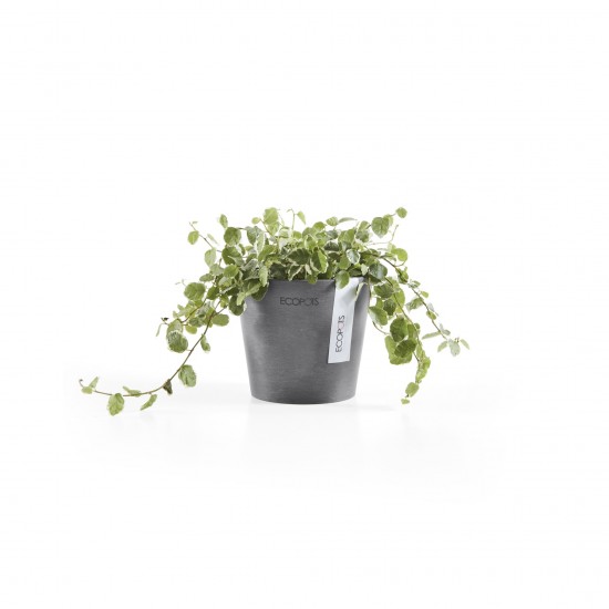 Amsterdam Mini small pot 10 Grey Small pot amsterdam mini Amsterdam Mini small pot 10 Grey Small pot amsterdam mini