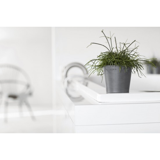 Amsterdam Mini small pot 10 Grey Small pot amsterdam mini Amsterdam Mini small pot 10 Grey Small pot amsterdam mini