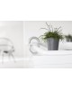 Amsterdam Mini small pot 10 Grey Small pot amsterdam mini Amsterdam Mini small pot 10 Grey Small pot amsterdam mini