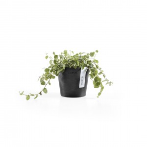 Amsterdam Mini small pot 10 Dark Grey