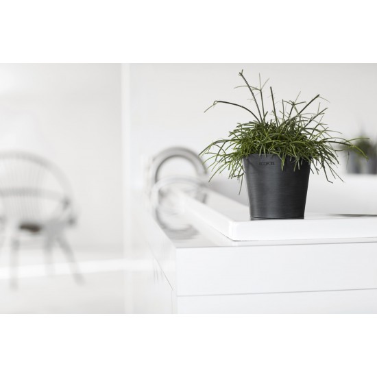 Amsterdam Mini small pot 10 Dark Grey Small pot amsterdam mini Amsterdam Mini small pot 10 Dark Grey Small pot amsterdam mini
