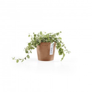 Amsterdam Mini small pot 10 Terracotta