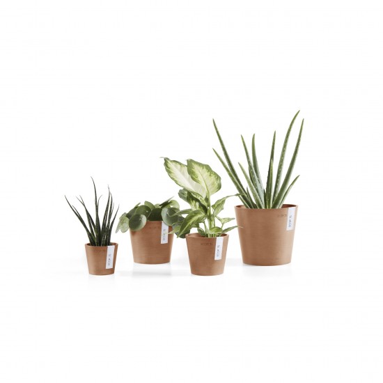 Amsterdam Mini small pot 10 Terracotta Small pot amsterdam mini Amsterdam Mini small pot 10 Terracotta Small pot amsterdam mini