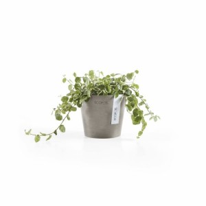 Amsterdam Mini small pot 10 Taupe