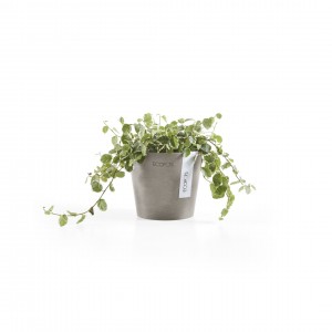 Amsterdam Mini small pot 10 Taupe