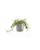 Amsterdam Mini small pot 10 Taupe Small pot amsterdam mini Amsterdam Mini small pot 10 Taupe Small pot amsterdam mini