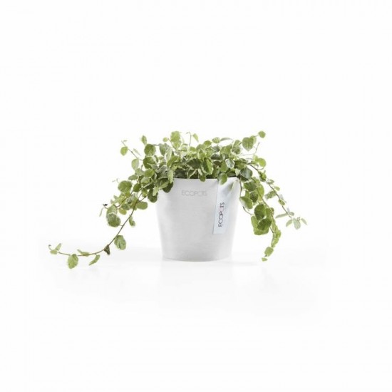 Amsterdam Mini small pot 10 Pure White Small pots