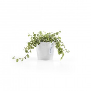 Amsterdam Mini small pot 10 Pure White