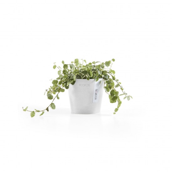 Amsterdam Mini small pot 10 Pure White Small pot amsterdam mini Amsterdam Mini small pot 10 Pure White Small pot amsterdam mini