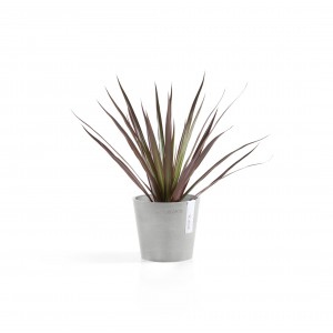 Amsterdam Mini small pot 13 White Grey