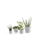 Amsterdam Mini small pot 13 White Grey Small pot amsterdam mini Amsterdam Mini small pot 13 White Grey Small pot amsterdam mini