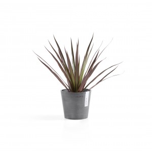 Amsterdam Mini small pot 13 Grey