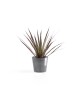 Amsterdam Mini small pot 13 Grey Small pot amsterdam mini Amsterdam Mini small pot 13 Grey Small pot amsterdam mini