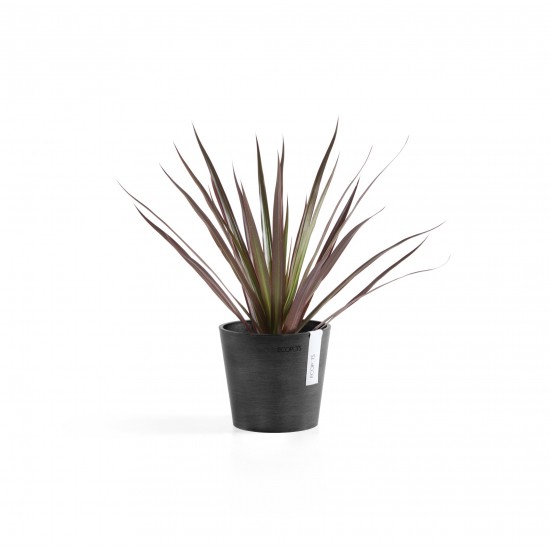 Amsterdam Mini small pot 13 Dark Grey Small pot amsterdam mini Amsterdam Mini small pot 13 Dark Grey Small pot amsterdam mini
