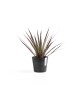 Amsterdam Mini small pot 13 Dark Grey Small pot amsterdam mini Amsterdam Mini small pot 13 Dark Grey Small pot amsterdam mini