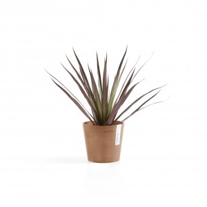Amsterdam Mini small pot 13 Terracotta