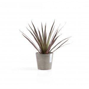Amsterdam Mini small pot 13 Taupe