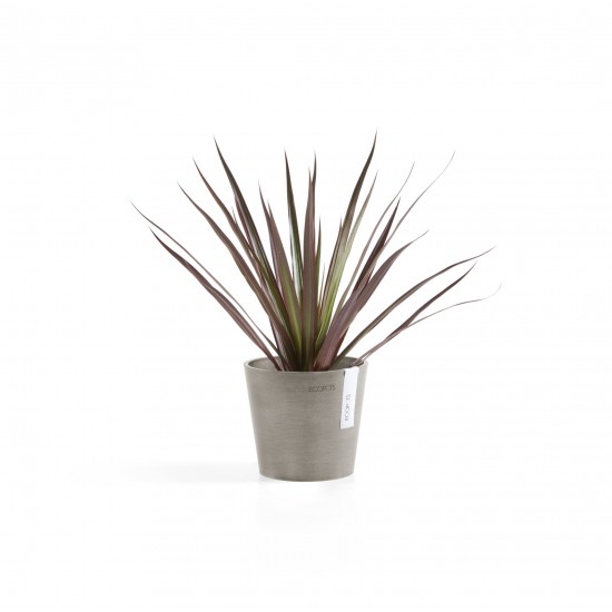 Amsterdam Mini small pot 13 Taupe Small pot amsterdam mini Amsterdam Mini small pot 13 Taupe Small pot amsterdam mini