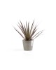 Amsterdam Mini small pot 13 Taupe Small pot amsterdam mini Amsterdam Mini small pot 13 Taupe Small pot amsterdam mini