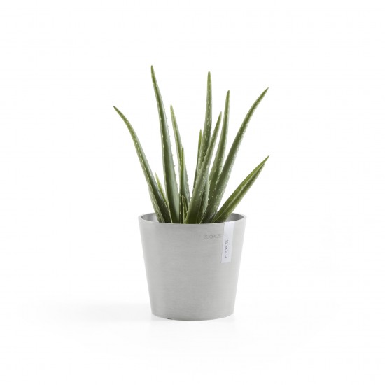 Amsterdam Mini small pot 17 White Grey Small pot amsterdam mini Amsterdam Mini small pot 17 White Grey Small pot amsterdam mini