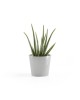 Amsterdam Mini small pot 17 White Grey Small pot amsterdam mini Amsterdam Mini small pot 17 White Grey Small pot amsterdam mini