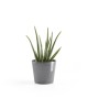 Amsterdam Mini small pot 17 Grey Small pot amsterdam mini Amsterdam Mini small pot 17 Grey Small pot amsterdam mini