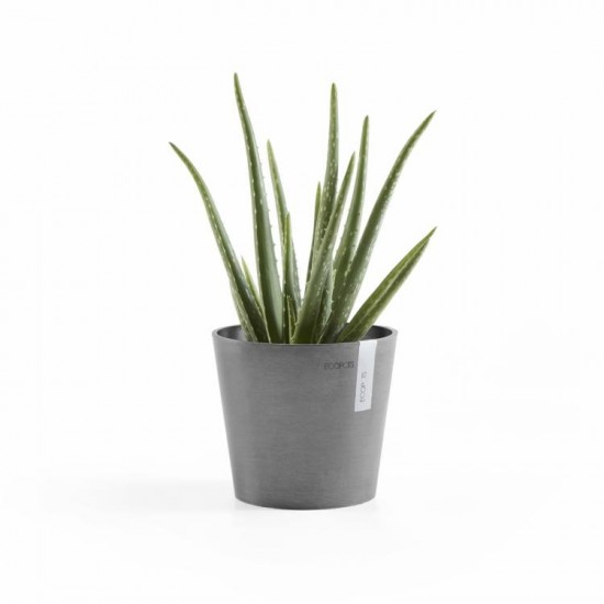 Amsterdam Mini small pot 17 Grey Small pots