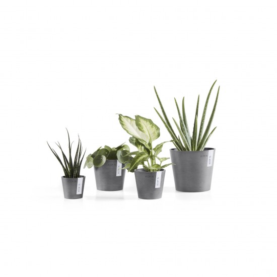 Amsterdam Mini small pot 17 Grey Small pot amsterdam mini Amsterdam Mini small pot 17 Grey Small pot amsterdam mini