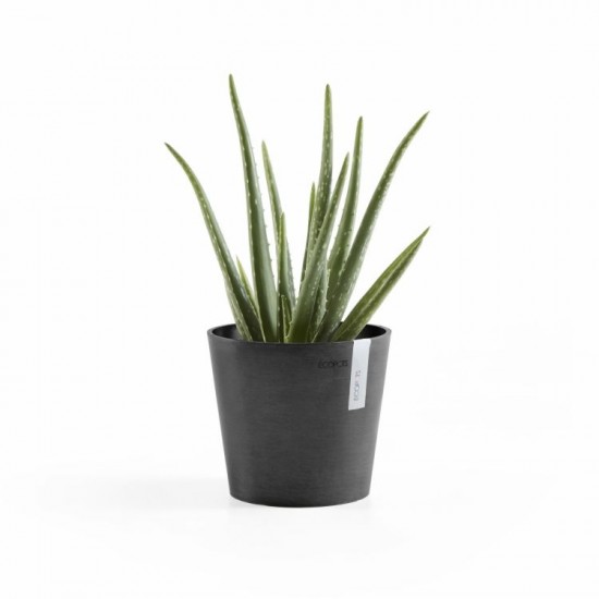 Amsterdam Mini small pot 17 Dark Grey Small pots