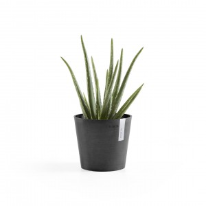 Amsterdam Mini small pot 17 Dark Grey