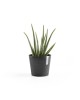 Amsterdam Mini small pot 17 Dark Grey Small pot amsterdam mini Amsterdam Mini small pot 17 Dark Grey Small pot amsterdam mini