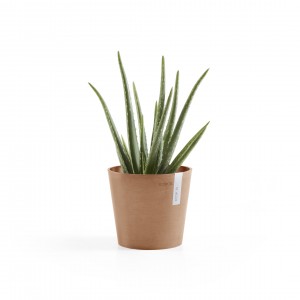 Amsterdam Mini small pot 17 Terracotta