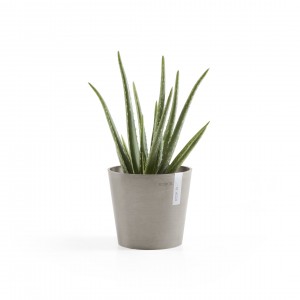 Amsterdam Mini small pot 17 Taupe