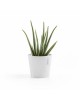 Amsterdam Mini small pot 17 Pure White Small pots