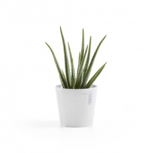 Amsterdam Mini small pot 17 Pure White