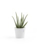 Amsterdam Mini small pot 17 Pure White Small pot amsterdam mini Amsterdam Mini small pot 17 Pure White Small pot amsterdam mini