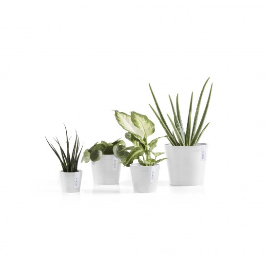 Amsterdam Mini small pot 17 Pure White Small pot amsterdam mini Amsterdam Mini small pot 17 Pure White Small pot amsterdam mini