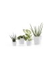 Amsterdam Mini small pot 17 Pure White Small pot amsterdam mini Amsterdam Mini small pot 17 Pure White Small pot amsterdam mini