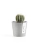Amsterdam Mini small pot 8 White Grey Small pot amsterdam mini Amsterdam Mini small pot 8 White Grey Small pot amsterdam mini