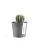 Amsterdam Mini small pot 8 Grey Small pot amsterdam mini Amsterdam Mini small pot 8 Grey Small pot amsterdam mini