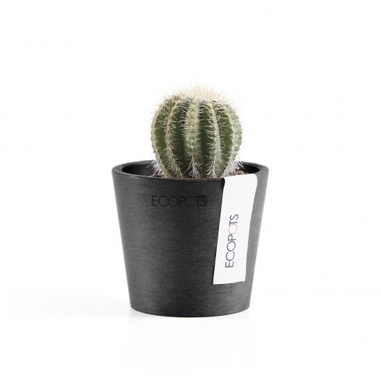 Amsterdam Mini small pot 8 Dark Grey Small pot amsterdam mini Amsterdam Mini small pot 8 Dark Grey Small pot amsterdam mini