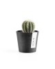 Amsterdam Mini small pot 8 Dark Grey Small pot amsterdam mini Amsterdam Mini small pot 8 Dark Grey Small pot amsterdam mini