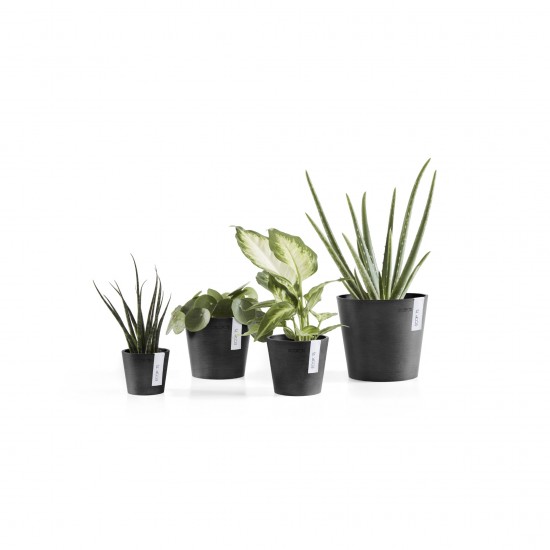 Amsterdam Mini small pot 8 Dark Grey Small pot amsterdam mini Amsterdam Mini small pot 8 Dark Grey Small pot amsterdam mini